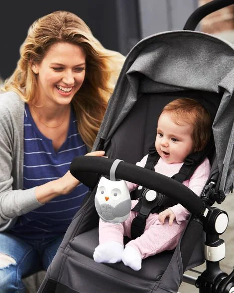 Skip hop stroll & deals go portable baby soother