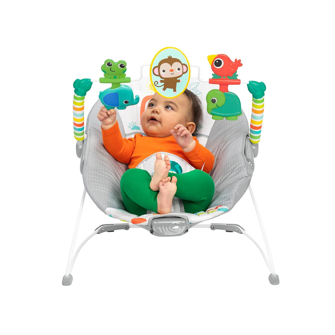 Bright Starts Paradise Vibrating Bouncer