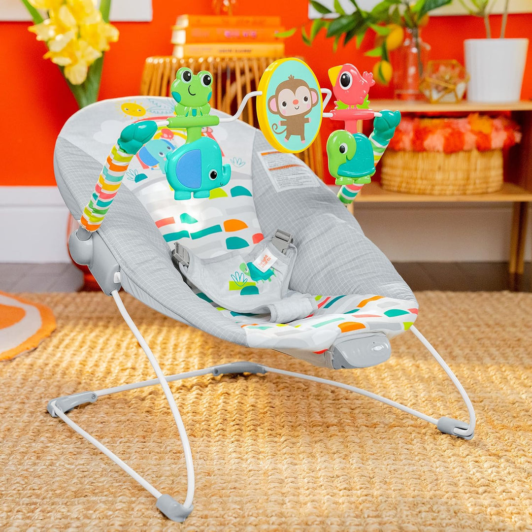 Bright Starts Paradise Vibrating Bouncer