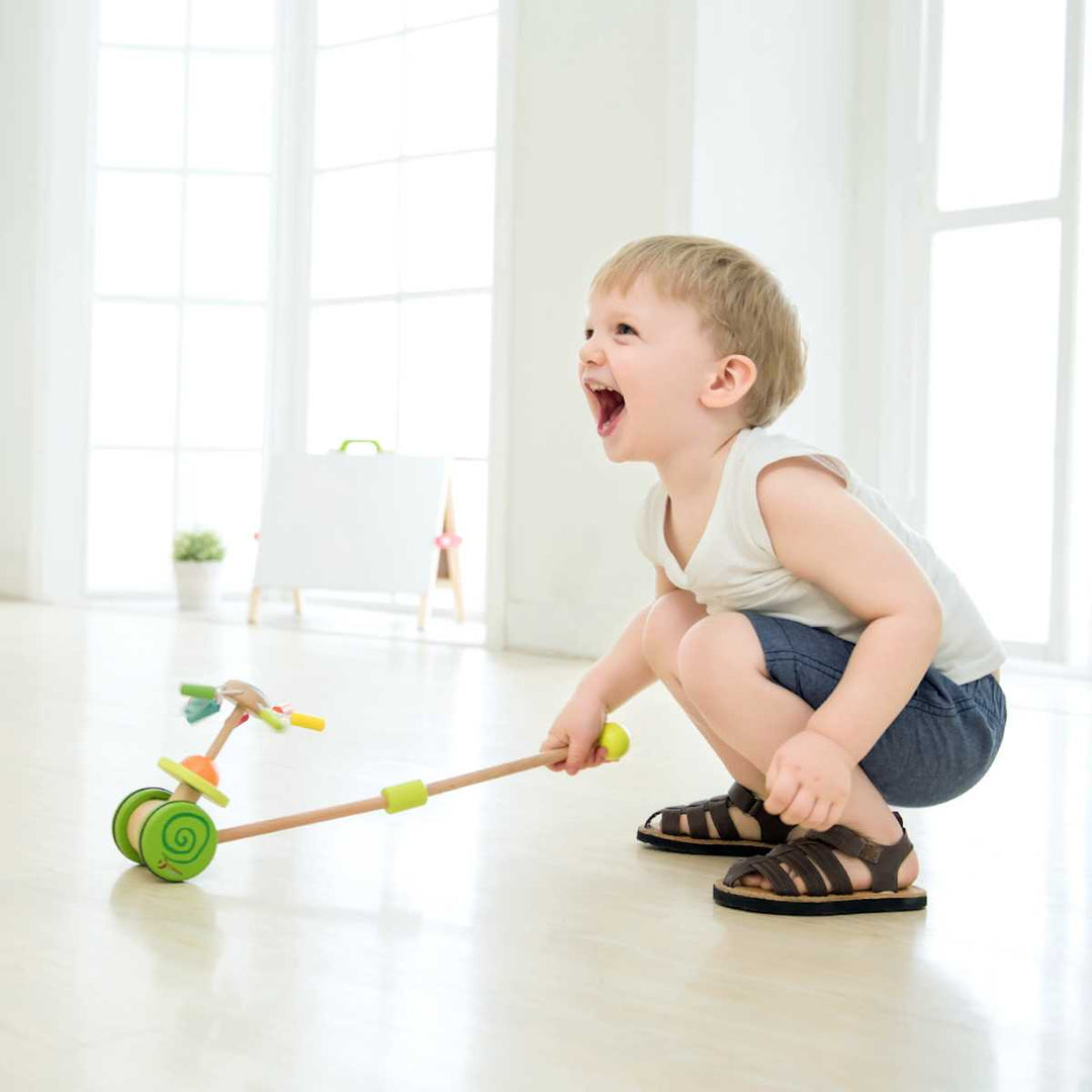 Classic World Push Rainbow from Classic World NZ stock babycity