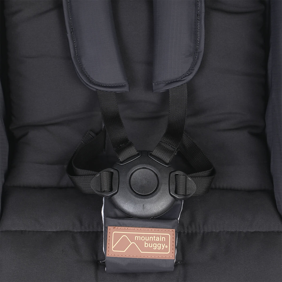 Mountain Buggy cosmopolitan 2022 5 point harness close up