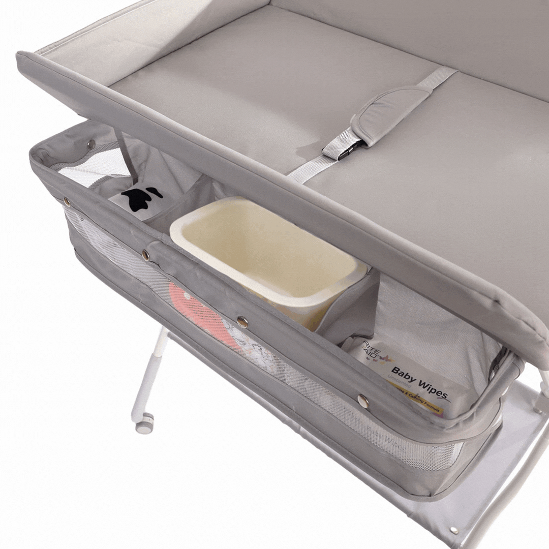 ORIGIN Fern change table V2