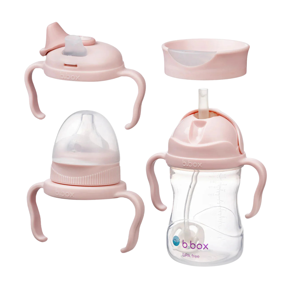 b.box Transition Value Pack Blush from b.box NZ stock babycity