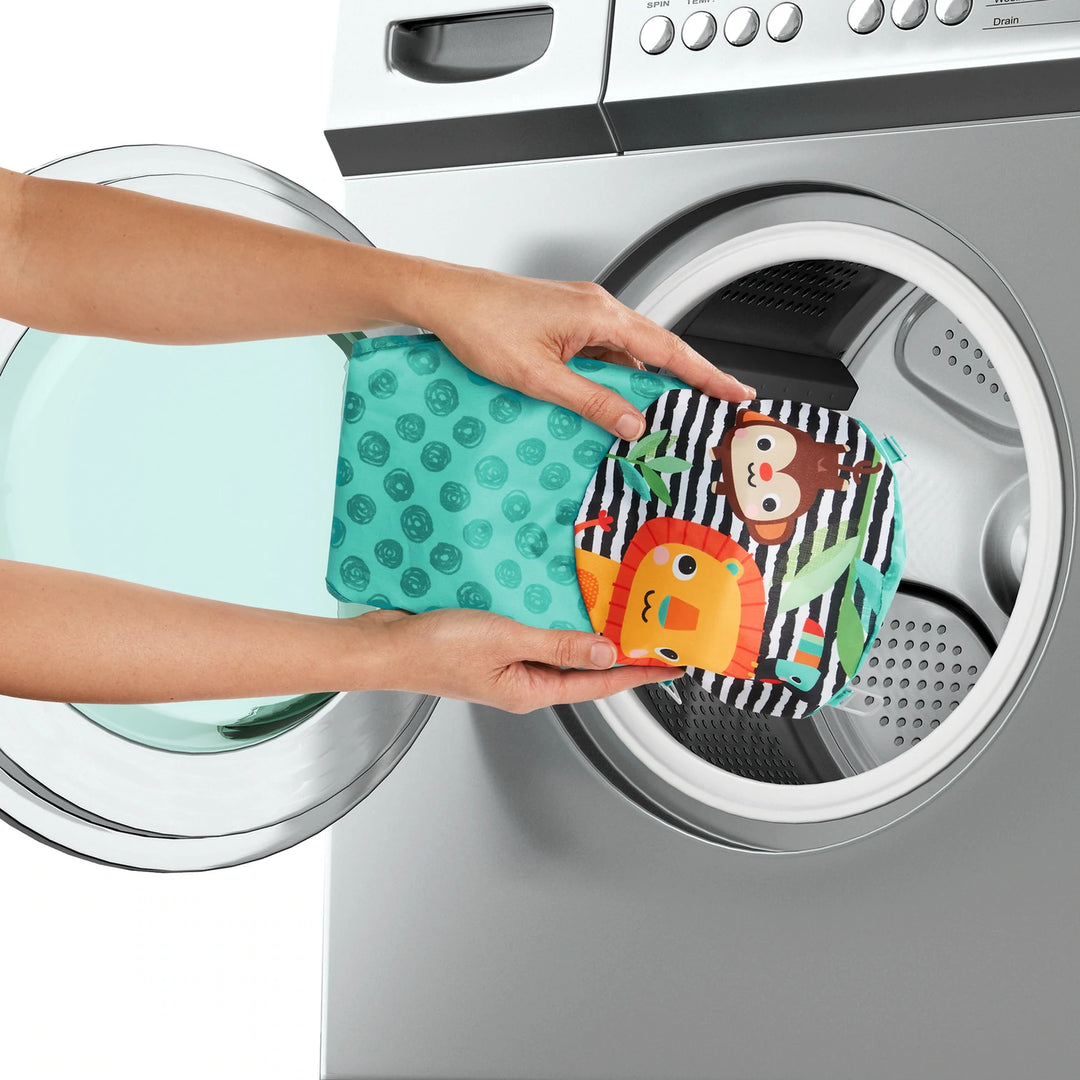 Bright starts 2024 zig zag zebra