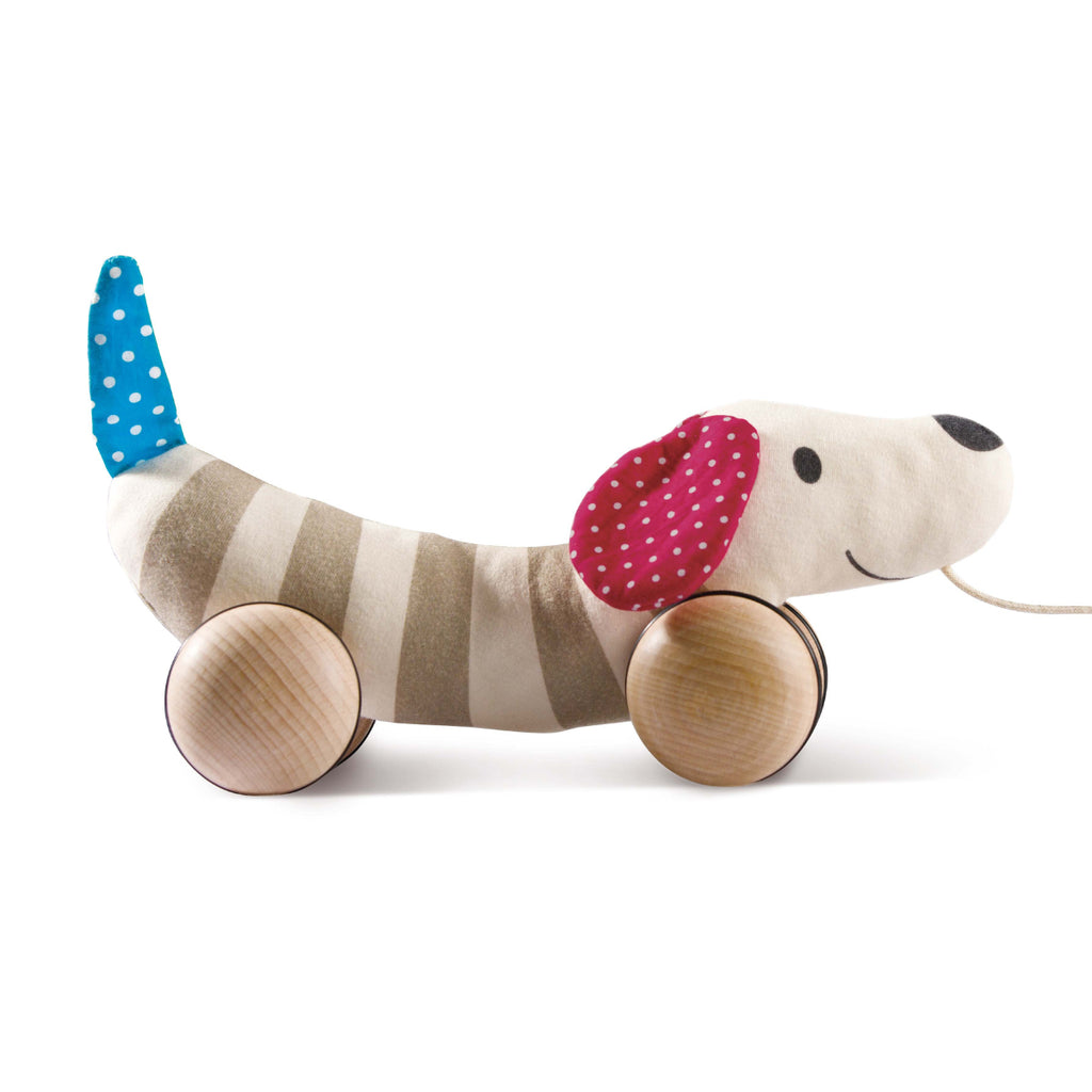 Hape Pull Along Dog babycity