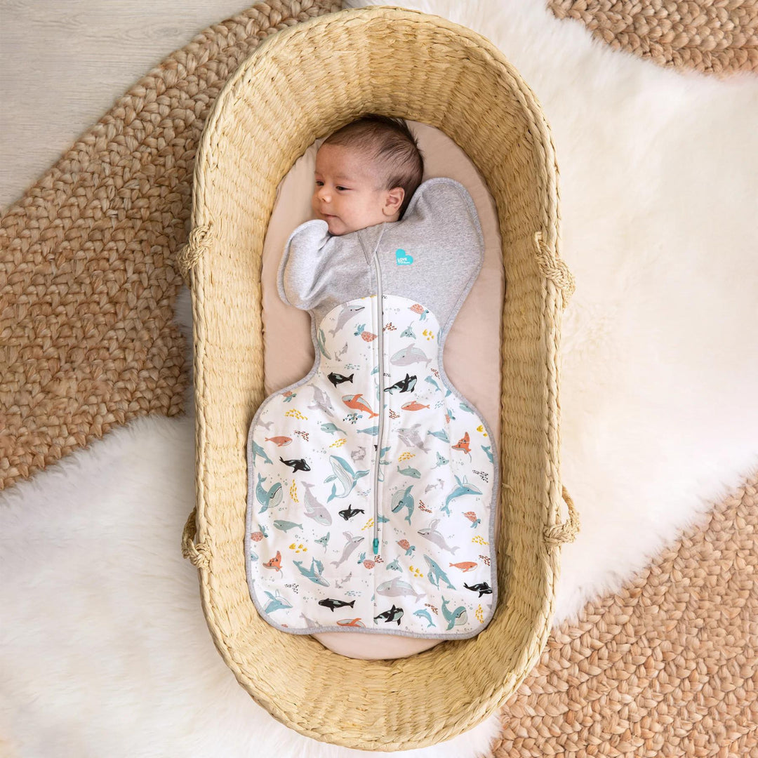 Swaddle up 2.5 2024 tog
