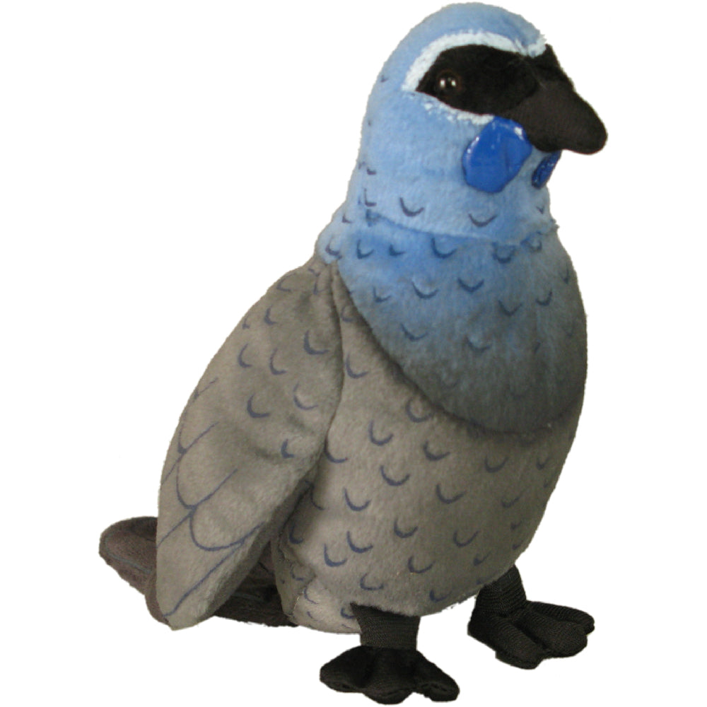 Antics Kokako Sound Bird from Antics NZ stock babycity