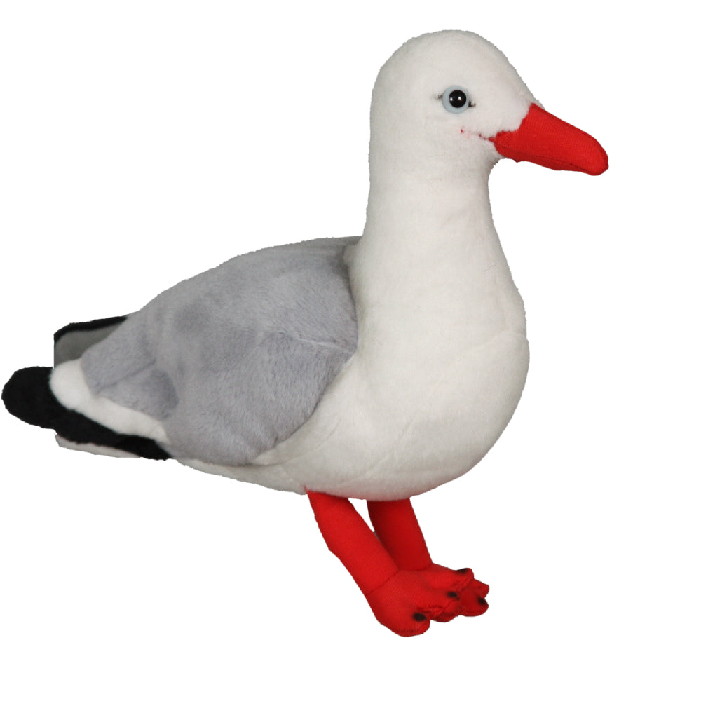 Antics Red Billed Gull Sound Bird from Antics NZ stock babycity