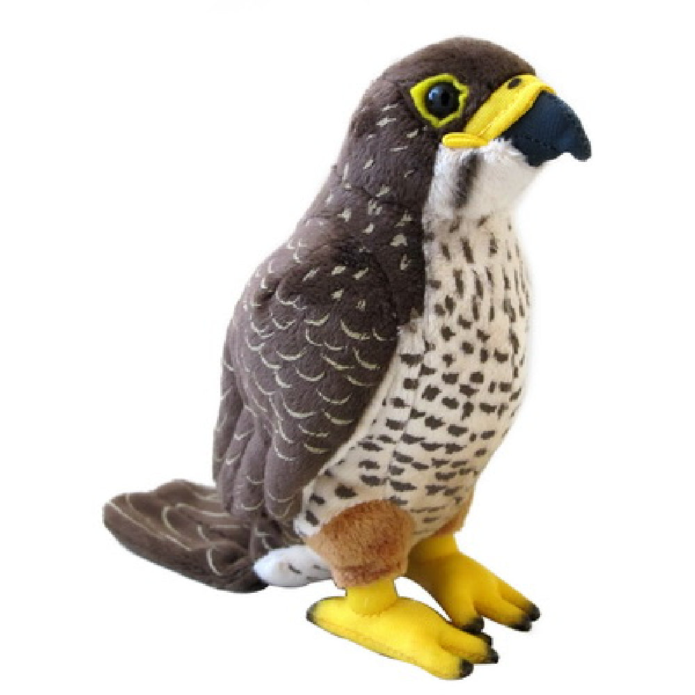 Antics NZ Falcon Sound Bird from Antics NZ stock babycity