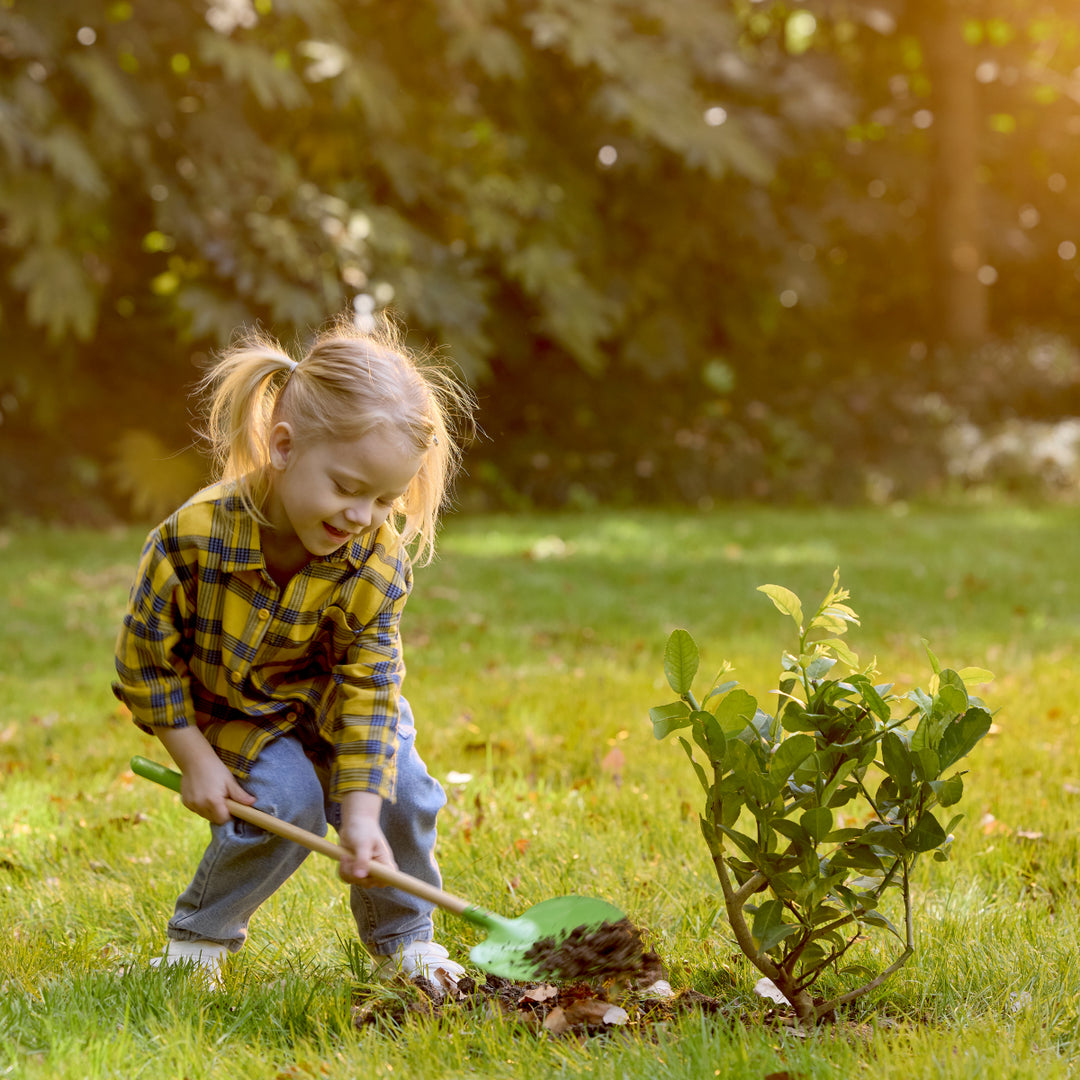 Hape Pointed Garden Shovel from Hape NZ stock babycity