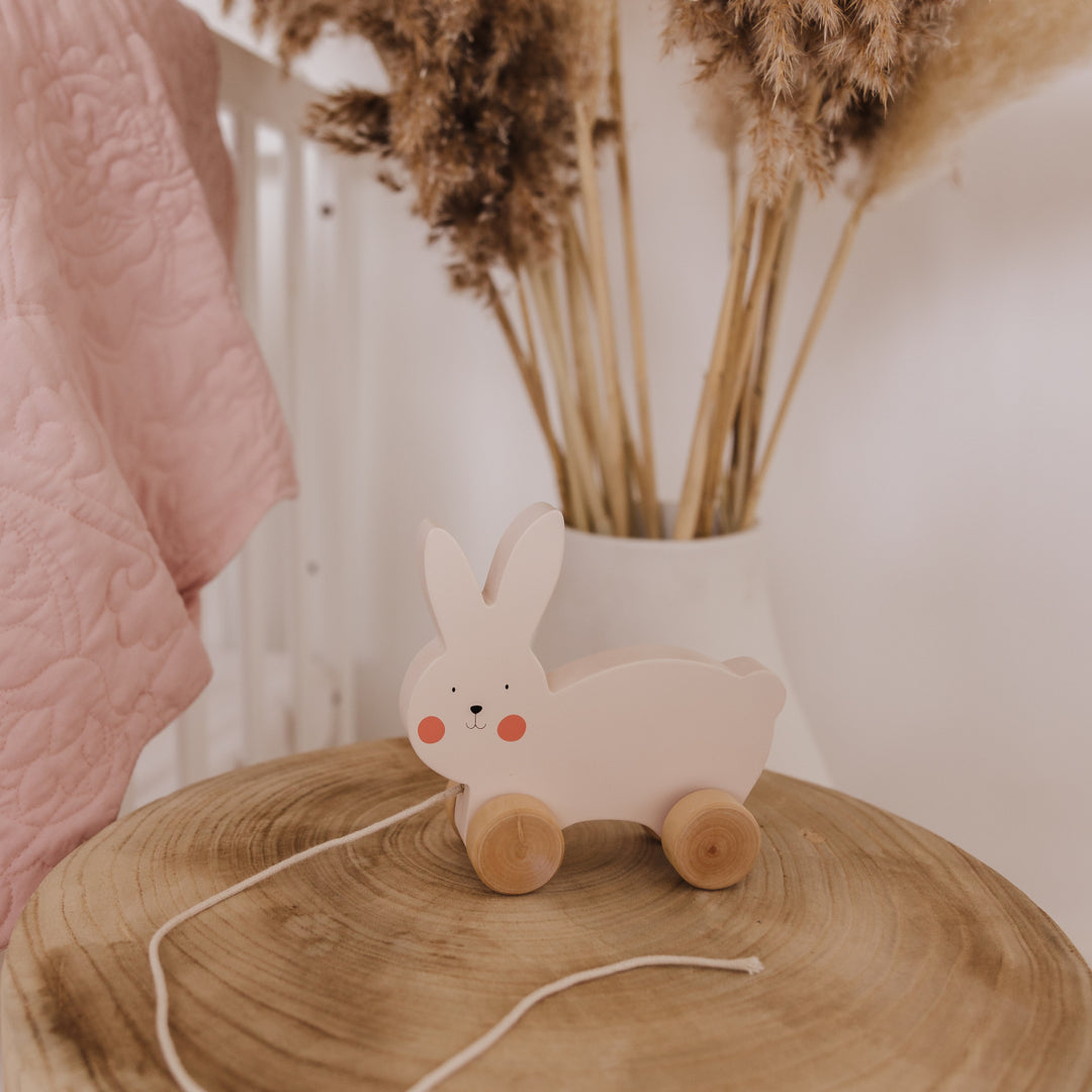 Bubble Wooden Rabbit Pull Along
