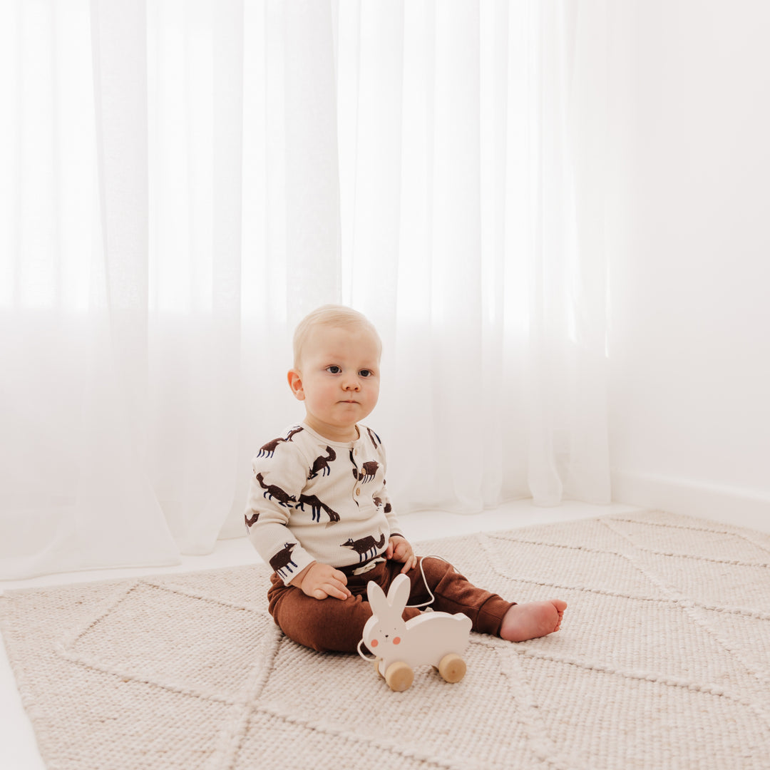 Bubble Wooden Rabbit Pull Along