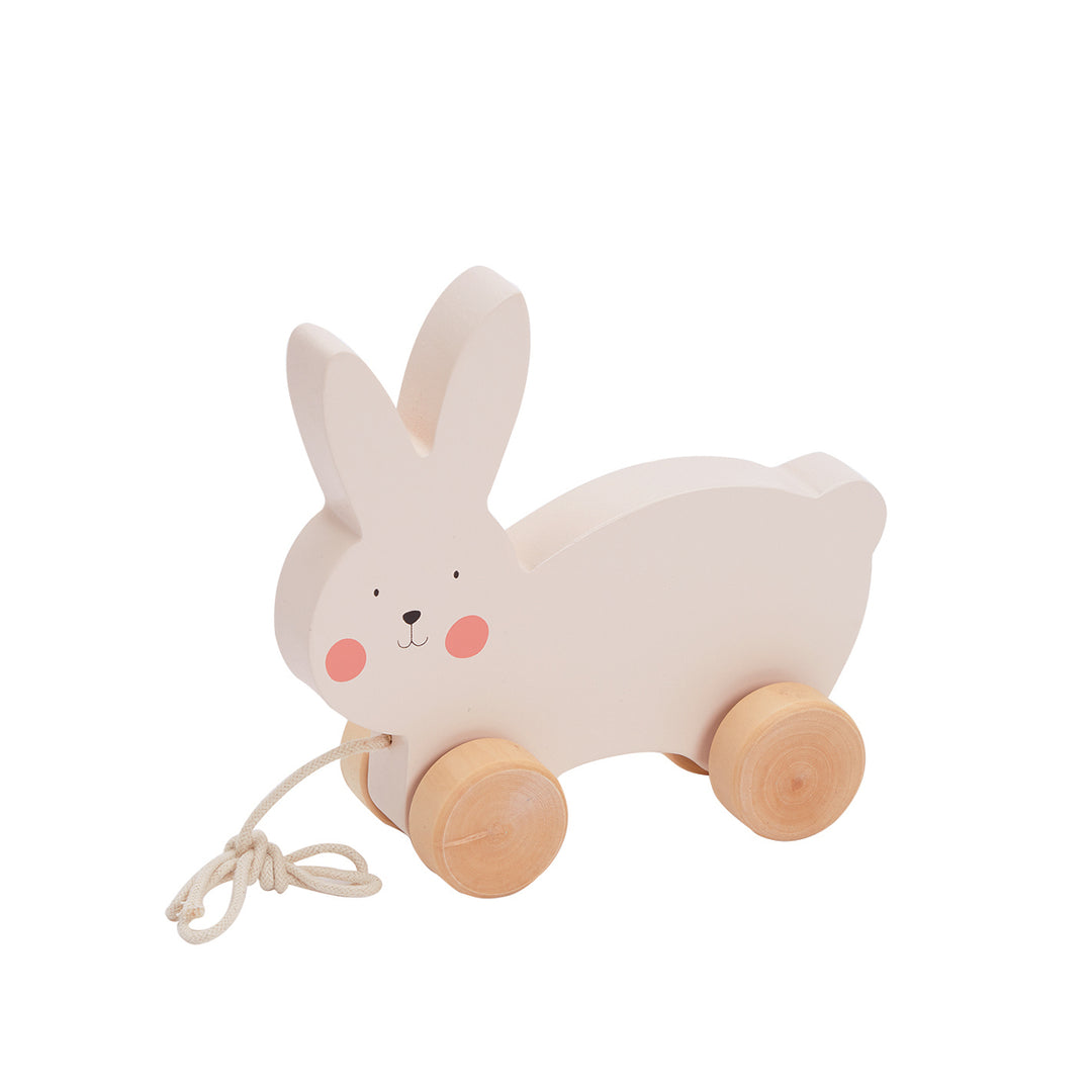 Bubble Wooden Rabbit Pull Along