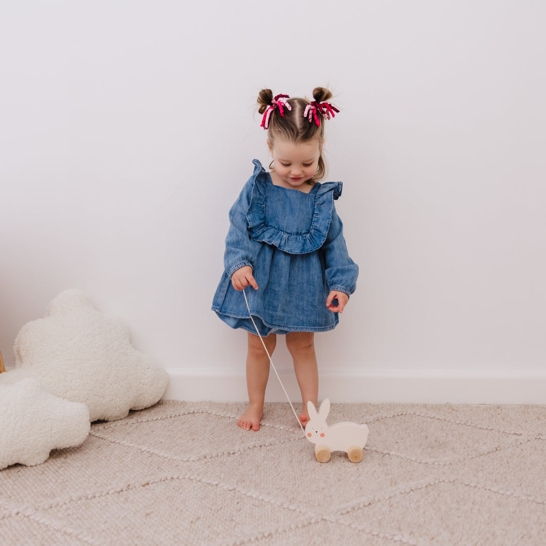 Bubble Wooden Rabbit Pull Along