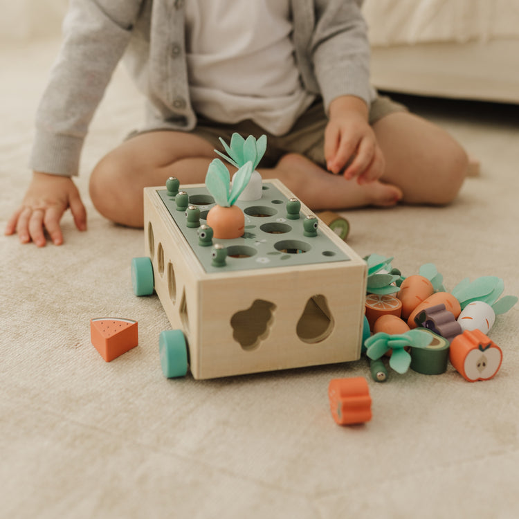 Child playing with a wooden shape sorting toy on a carpeted floor.