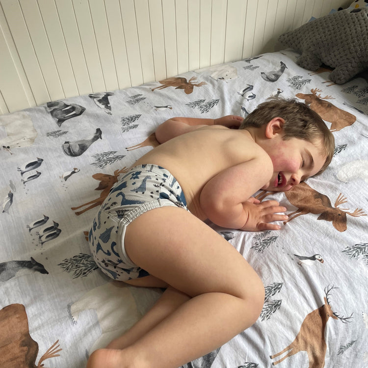 Brolly Sheets Snazzi Pants Day Trainers from Brolly Sheets NZ stock babycity