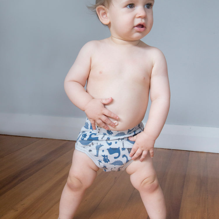 Brolly Sheets Snazzi Pants Day Trainers from Brolly Sheets NZ stock babycity