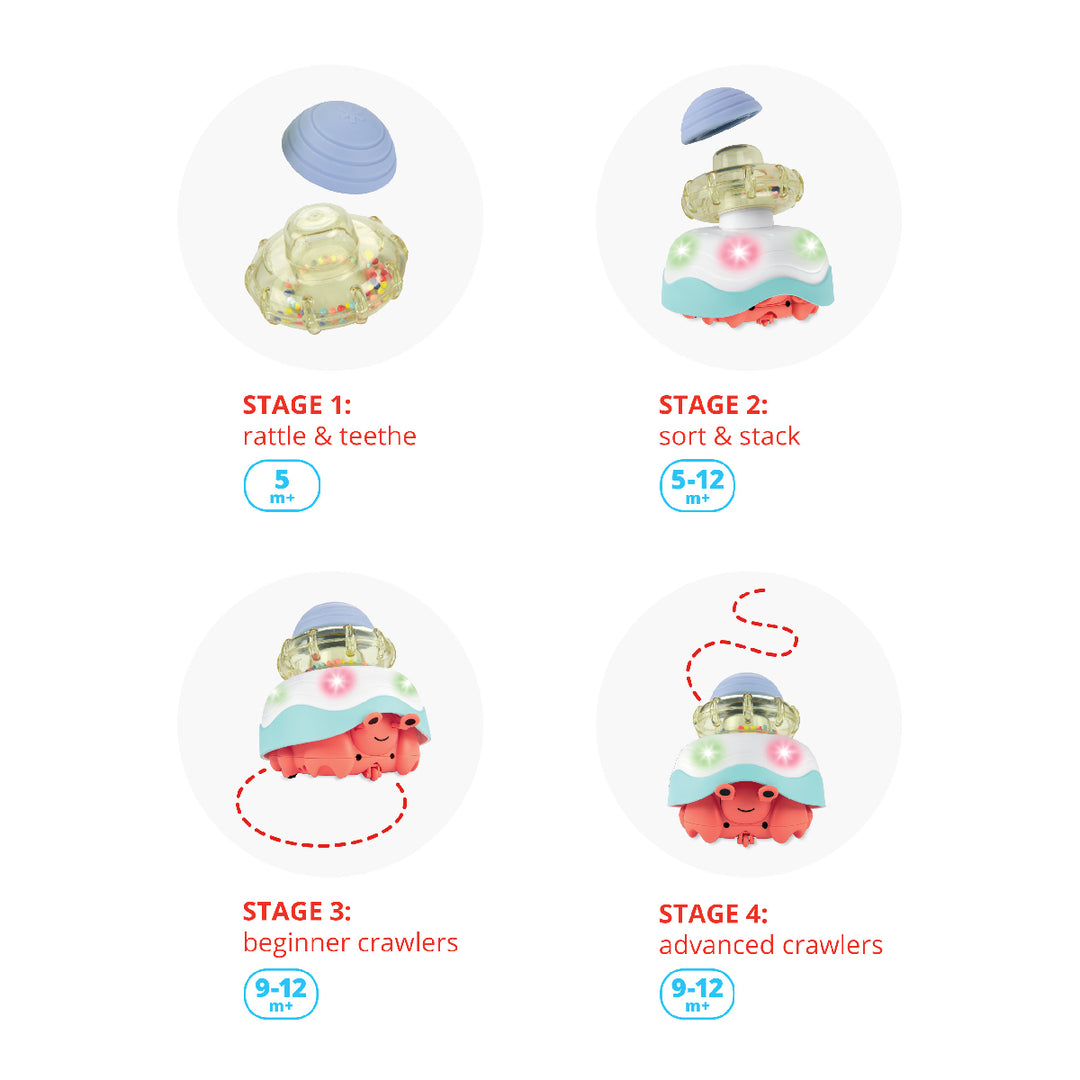 Educational toy with stages for development on a white background