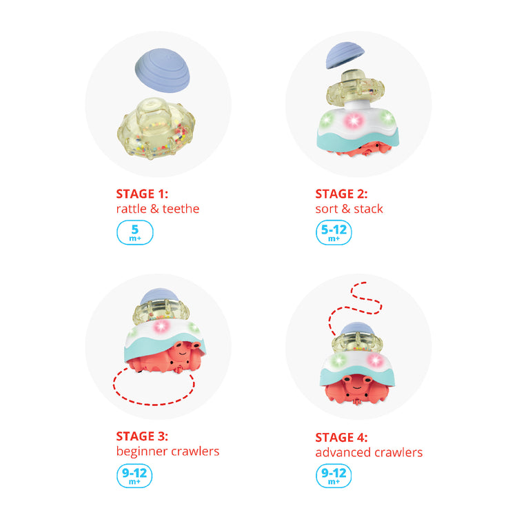 Educational toy with stages for development on a white background