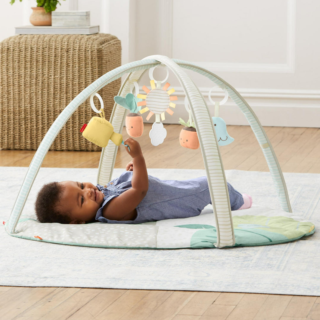 Skip hop activity 2024 mat