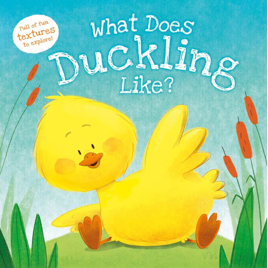 What Does Duckling Like? Book